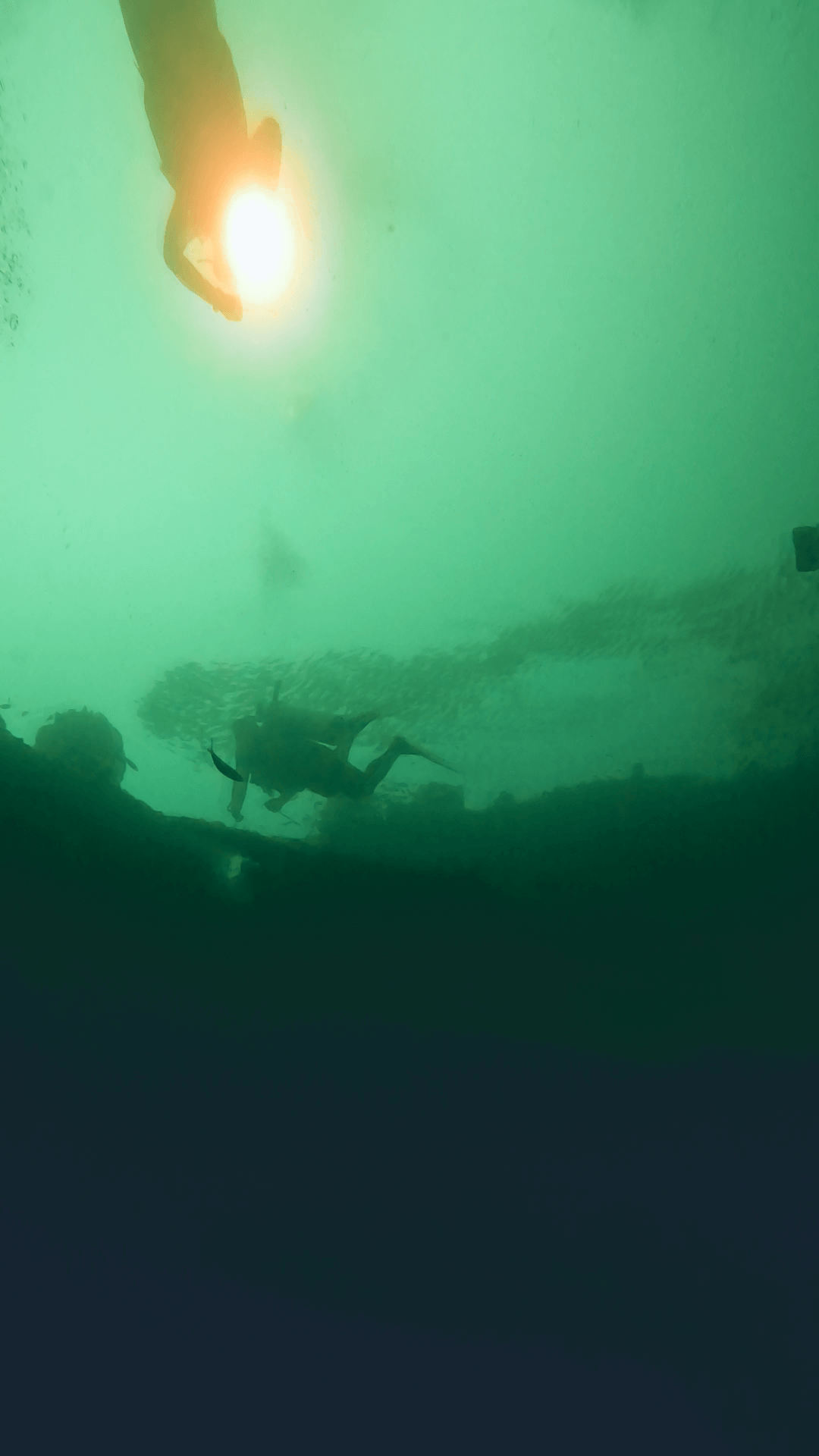 Coral Growth on the East Tangat Wreck